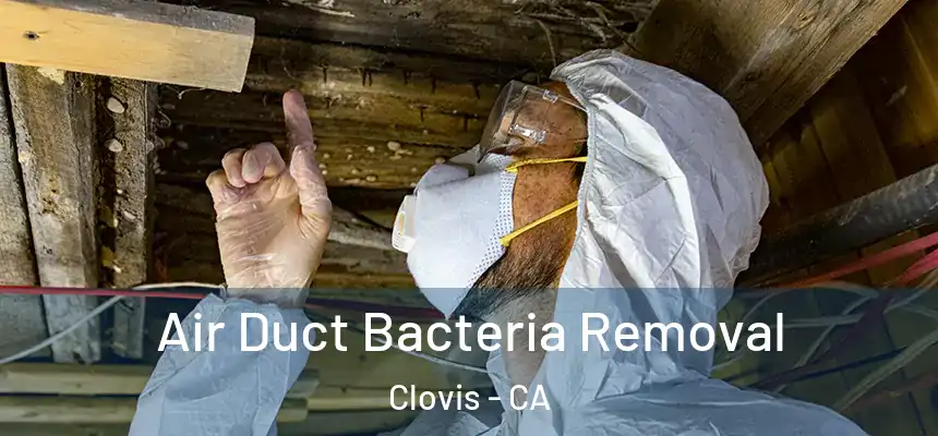  Air Duct Bacteria Removal Clovis - CA