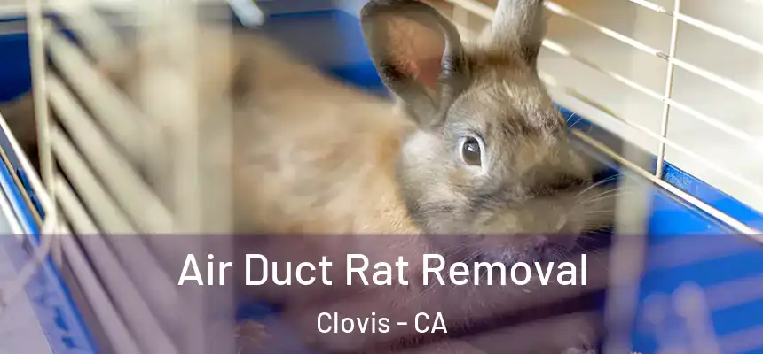 Air Duct Rat Removal Clovis - CA