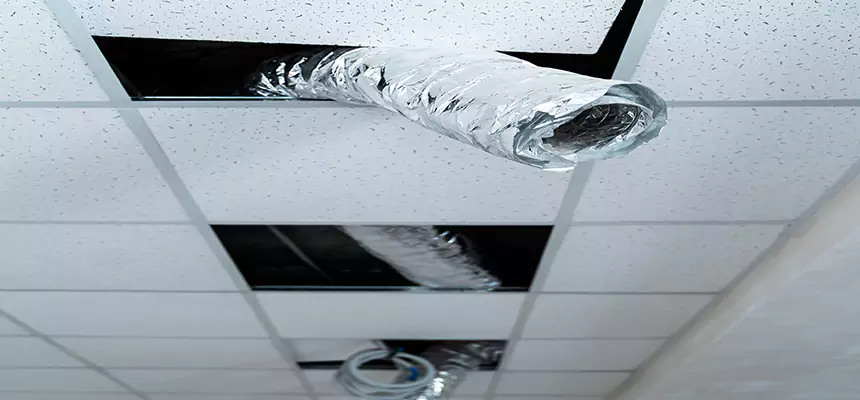 Our Air Duct Pet Hair Removal Services in Clovis, CA