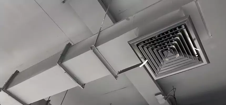 Our Rodent Droppings In Vents Services in Clovis, CA