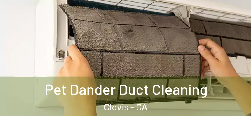 Pet Dander Duct Cleaning Clovis - CA