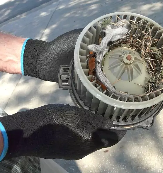 About Air Duct Rat Removal in Clovis, CA