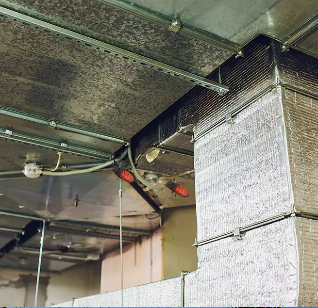 Why Homeowners & Businesses Trust Us in Clovis, CA?