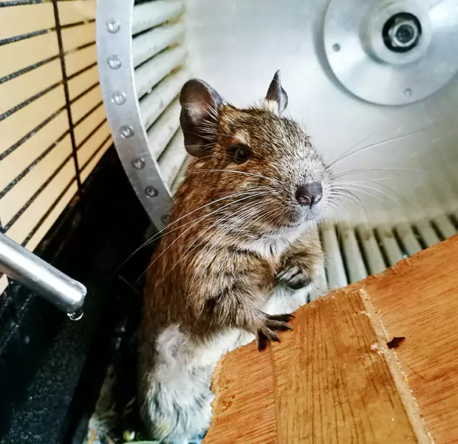 Why Homeowners & Businesses Trust Us Clovis, CA